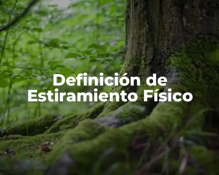 Definición de Estiramiento Físico