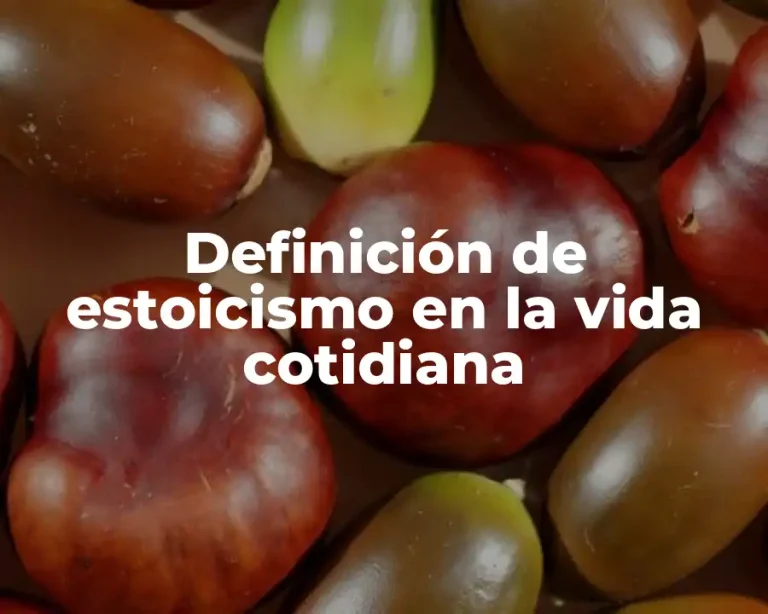 Definición de estoicismo en la vida cotidiana