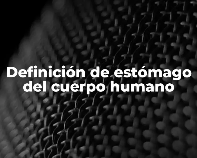 Definición de estómago del cuerpo humano