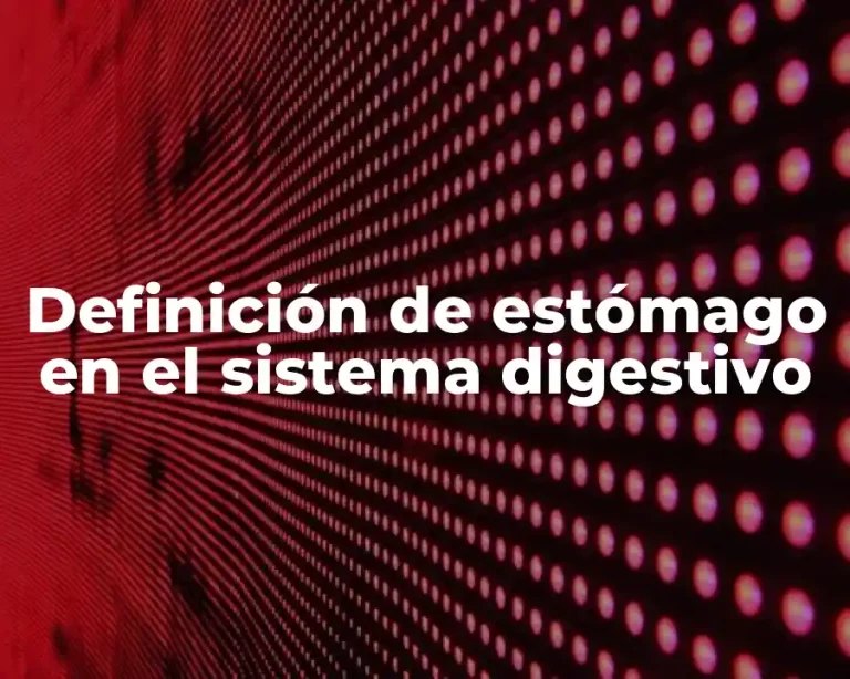 Definición de estómago en el sistema digestivo