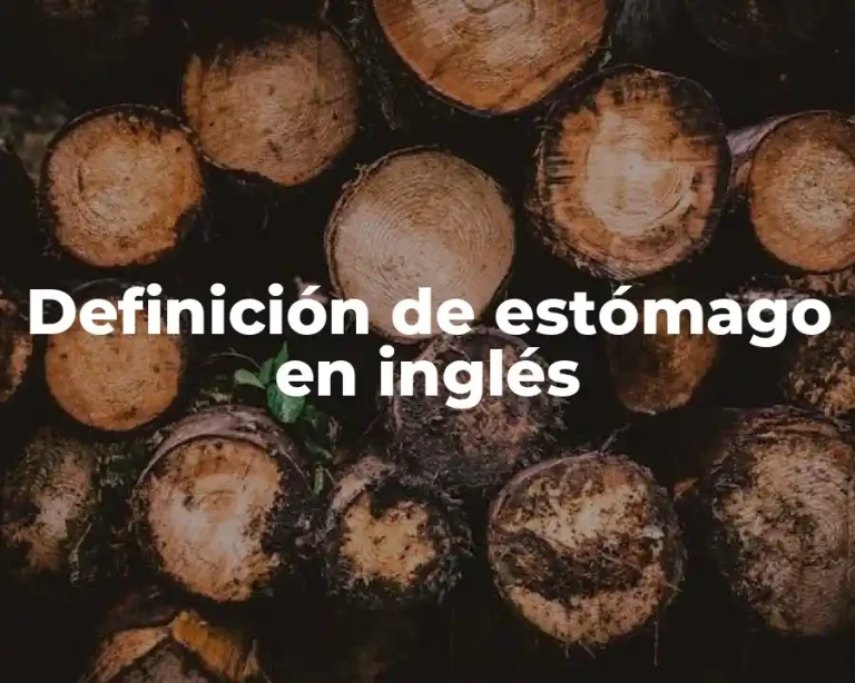Definición de estómago en inglés