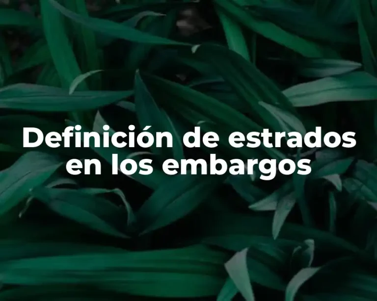 Definición de estrados en los embargos