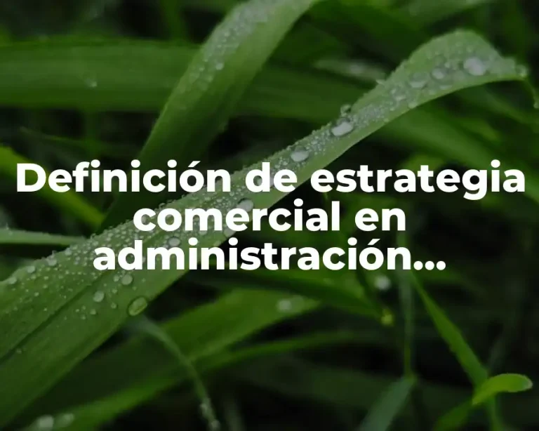 Definición de estrategia comercial en administración financiera