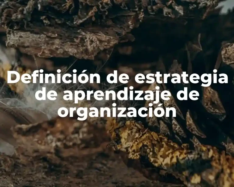 Definición de estrategia de aprendizaje de organización