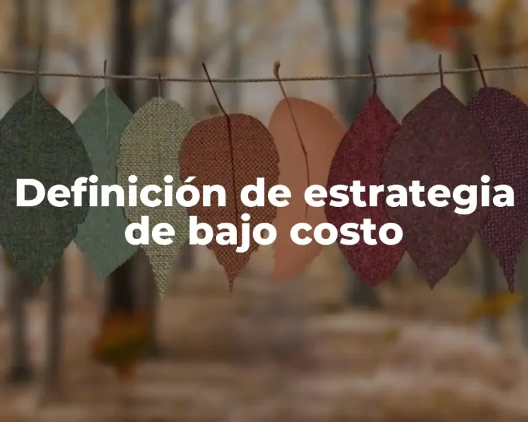 Definición de estrategia de bajo costo