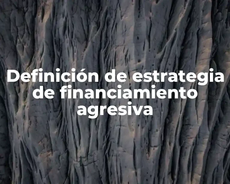 Definición de estrategia de financiamiento agresiva