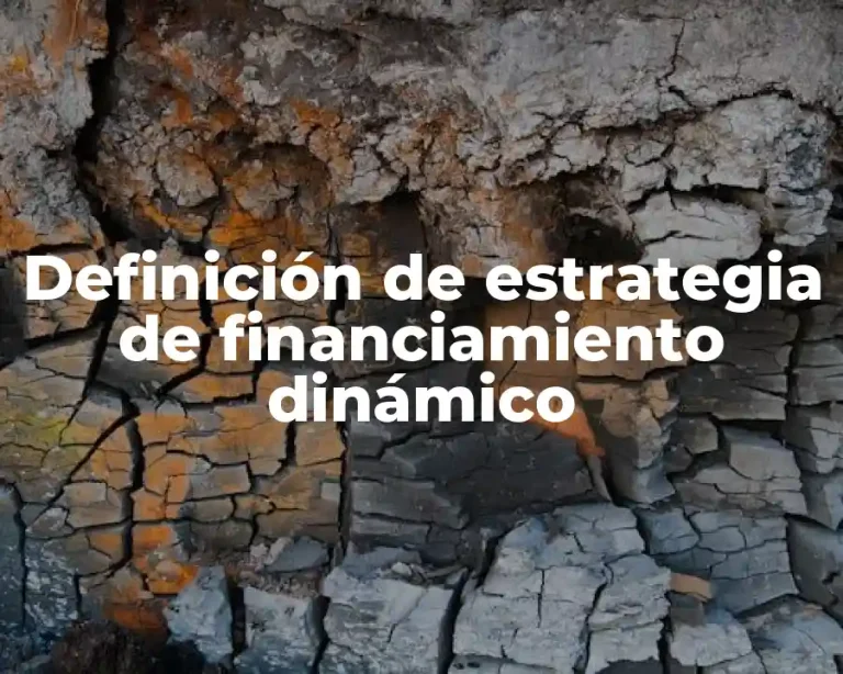 Definición de estrategia de financiamiento dinámico