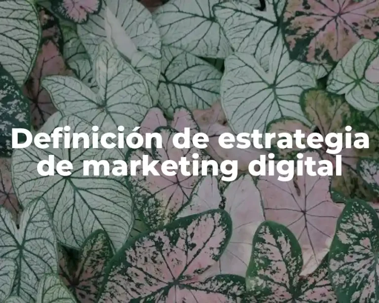 Definición de estrategia de marketing digital