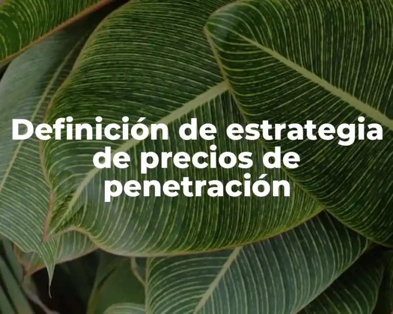 Definición de estrategia de precios de penetración