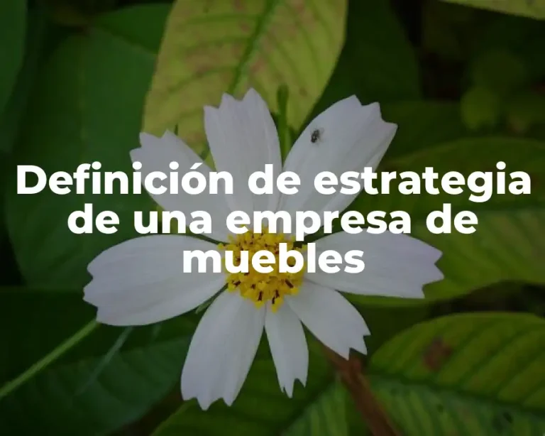 Definición de estrategia de una empresa de muebles