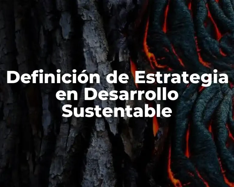 Definición de Estrategia en Desarrollo Sustentable