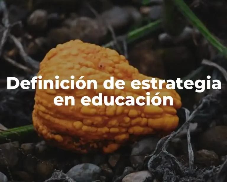 Definición de estrategia en educación