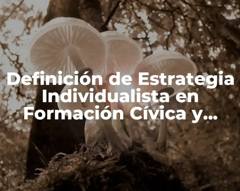 Definición de Estrategia Individualista en Formación Cívica y Ética
