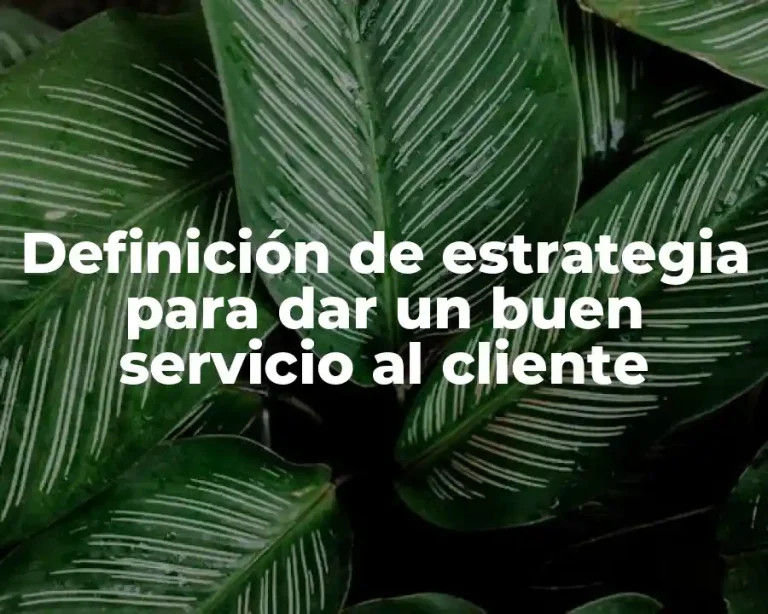 Definición de estrategia para dar un buen servicio al cliente