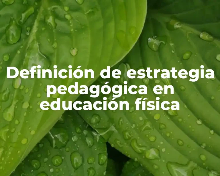 Definición de estrategia pedagógica en educación física