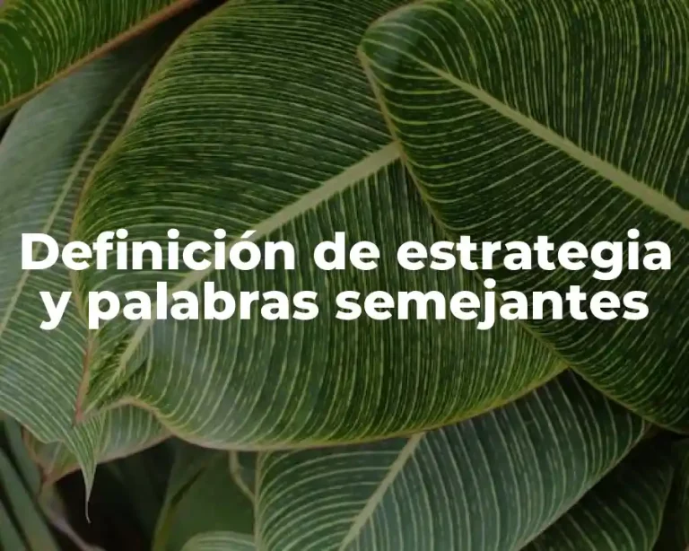 Definición de estrategia y palabras semejantes