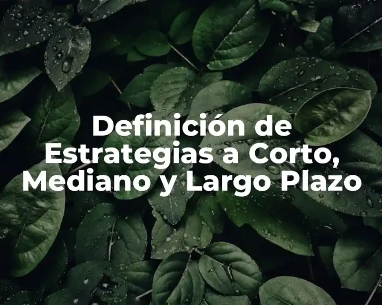 Definición de Estrategias a Corto, Mediano y Largo Plazo