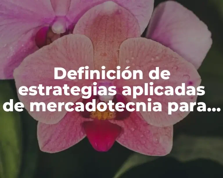 Definición de estrategias aplicadas de mercadotecnia para un producto nuevo