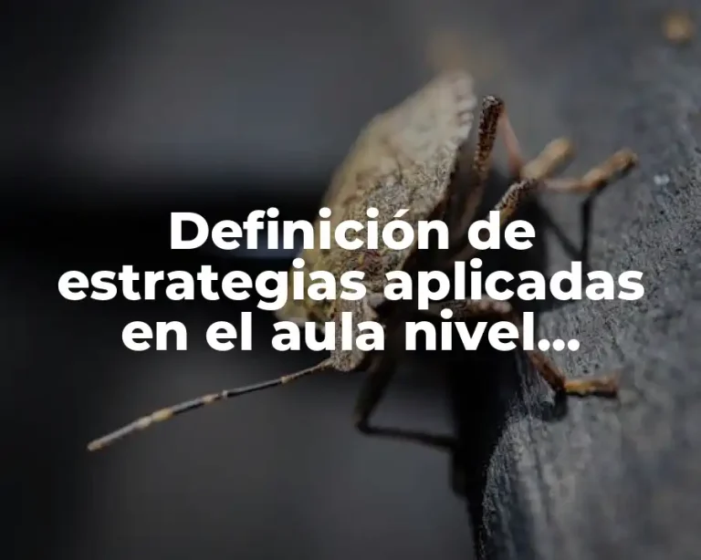 Definición de estrategias aplicadas en el aula nivel secundaria