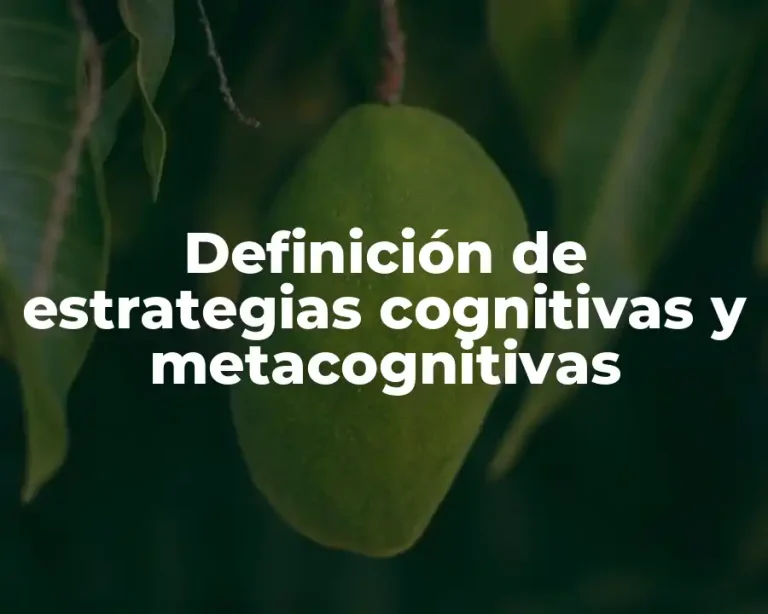 Definición de estrategias cognitivas y metacognitivas