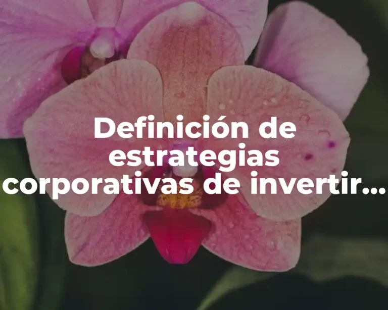 Definición de estrategias corporativas de invertir en el extranjero