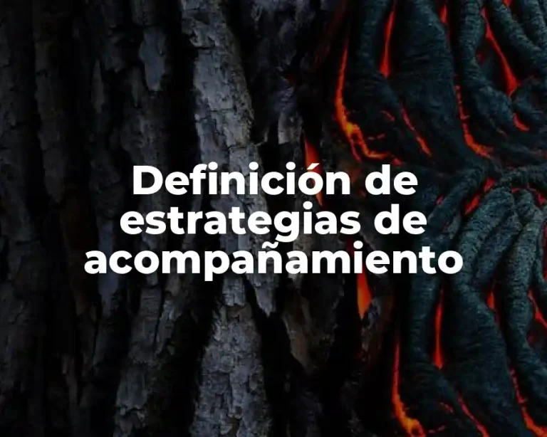 Definición de estrategias de acompañamiento