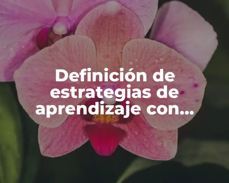 Definición de estrategias de aprendizaje con referencias