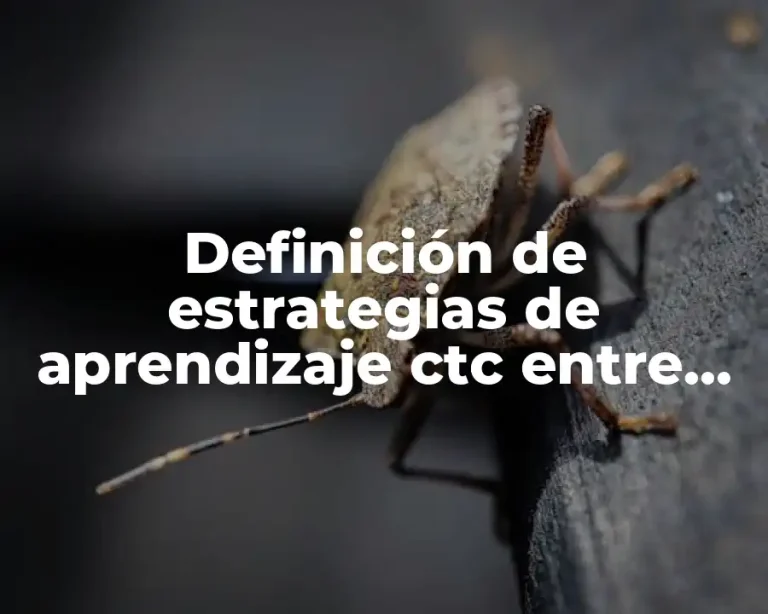 Definición de estrategias de aprendizaje ctc entre pares