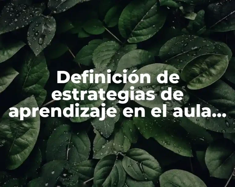 Definición de estrategias de aprendizaje en el aula fundamentadas