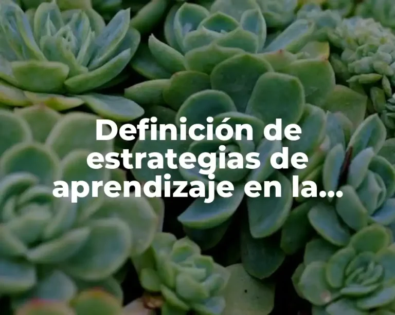 Definición de estrategias de aprendizaje en la educación multimodal