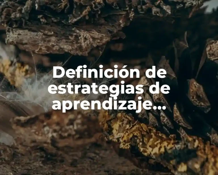 Definición de estrategias de aprendizaje memorístico