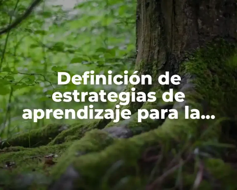Definición de estrategias de aprendizaje para la educación a distancia