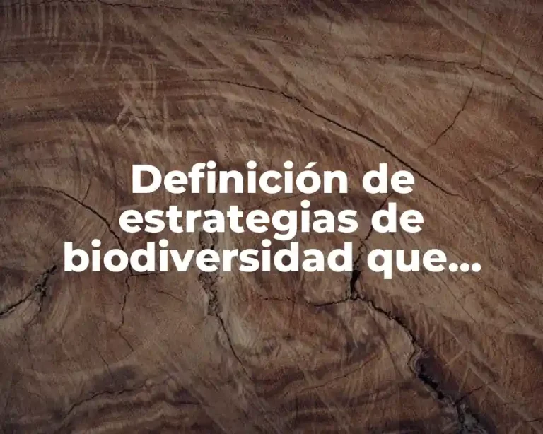 Definición de estrategias de biodiversidad que contribuyan a la sustentabilidad