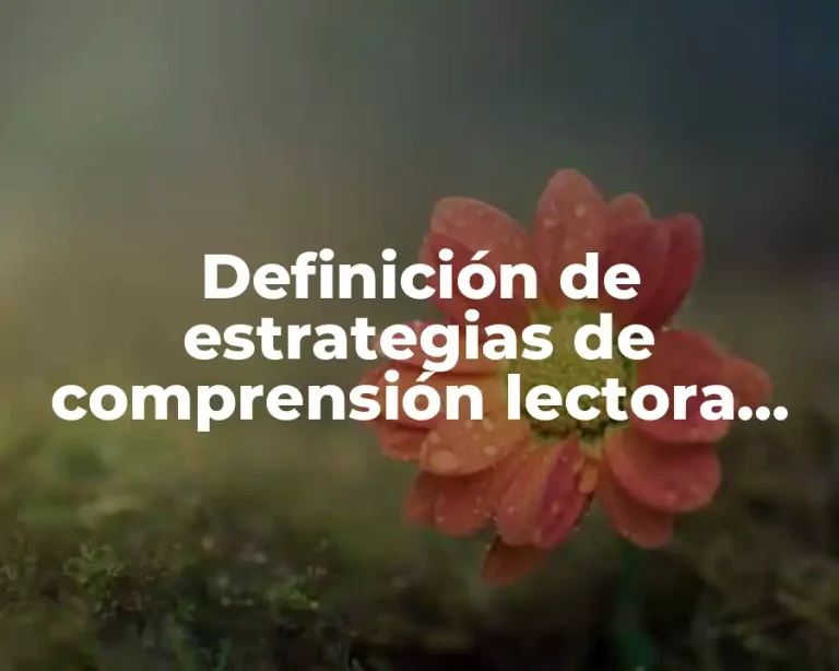 Definición de estrategias de comprensión lectora para primaria