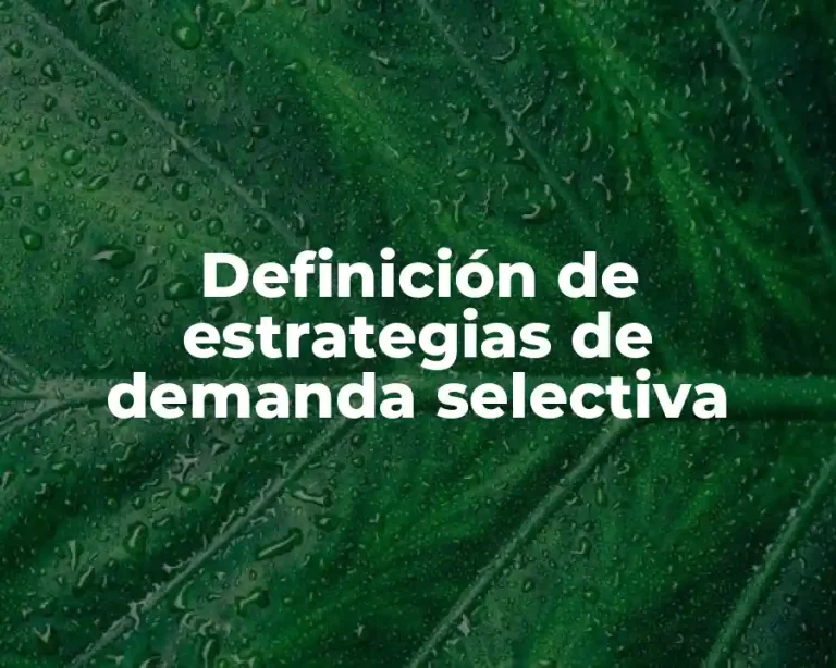 Definición de estrategias de demanda selectiva
