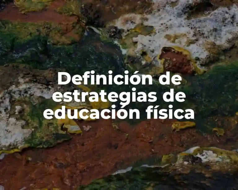 Definición de estrategias de educación física