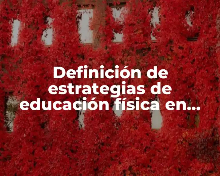 Definición de estrategias de educación física en preescolar