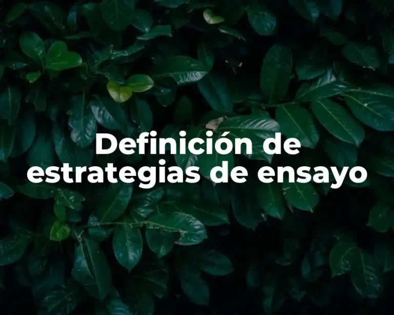 Definición de estrategias de ensayo