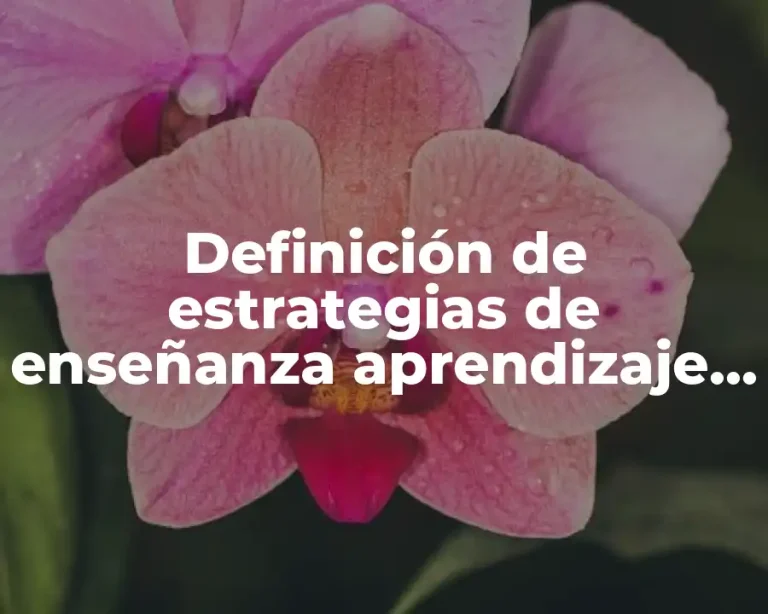 Definición de estrategias de enseñanza aprendizaje en preescolar