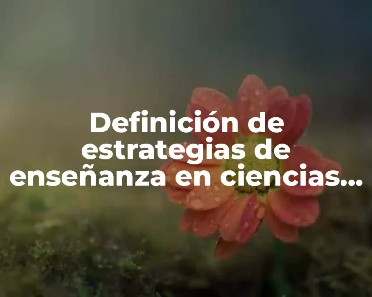 Definición de estrategias de enseñanza en ciencias sociales