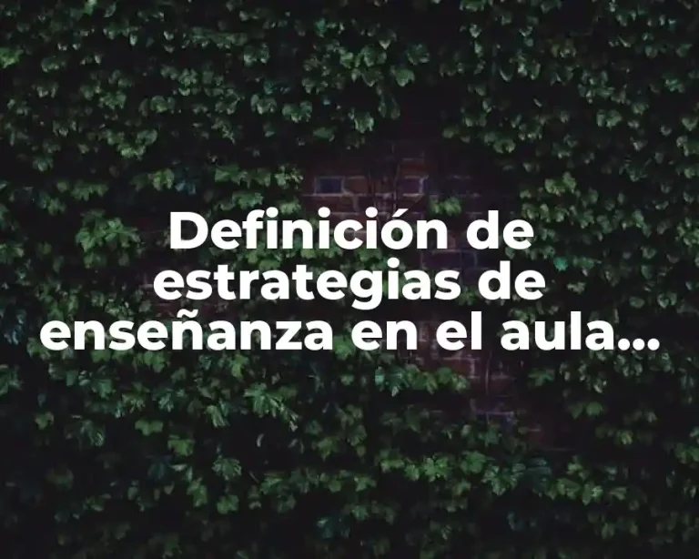 Definición de estrategias de enseñanza en el aula primaria.