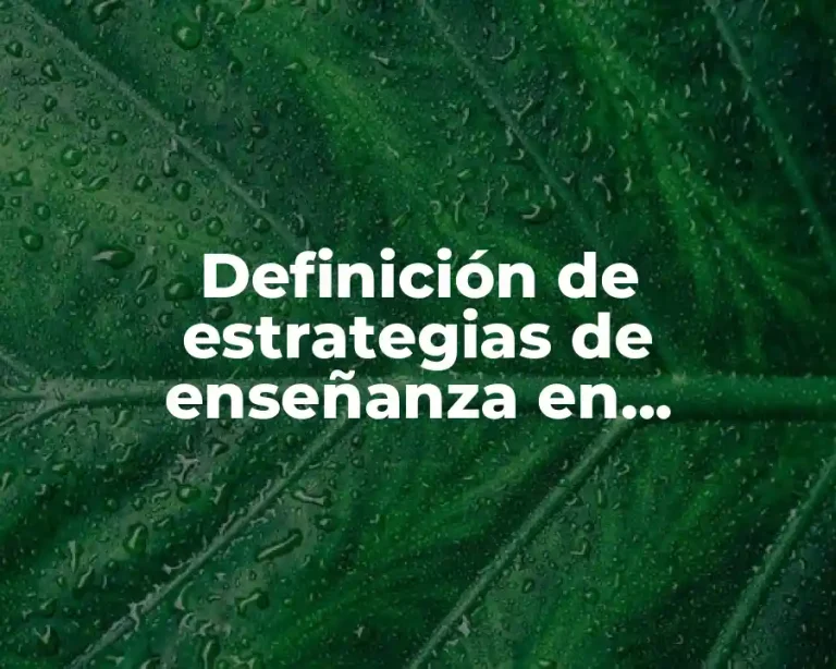 Definición de estrategias de enseñanza en preescolar Piaget