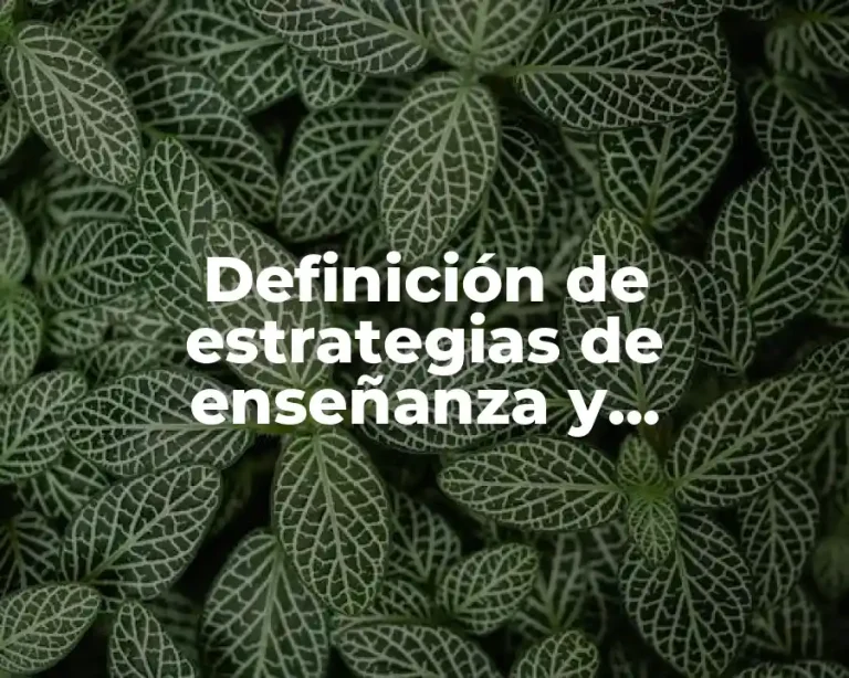 Definición de estrategias de enseñanza y aprendizaje