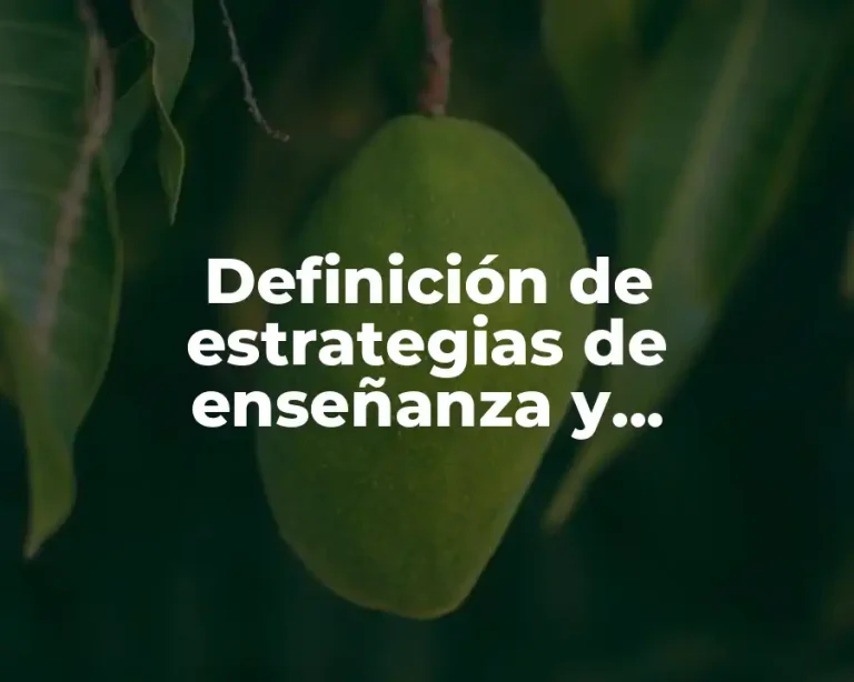 Definición de estrategias de enseñanza y aprendizaje matemáticas