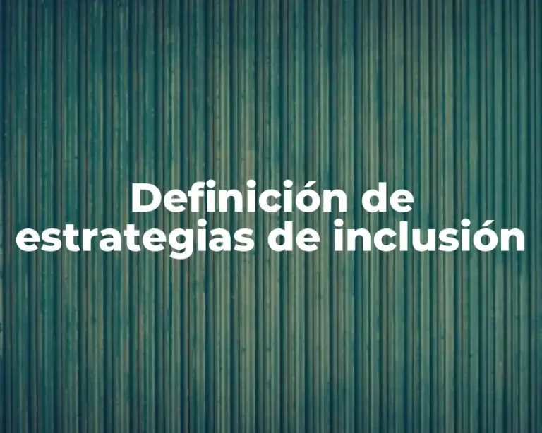 Definición de estrategias de inclusión