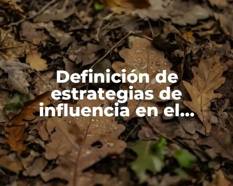 Definición de estrategias de influencia en el comportamiento del consumidor
