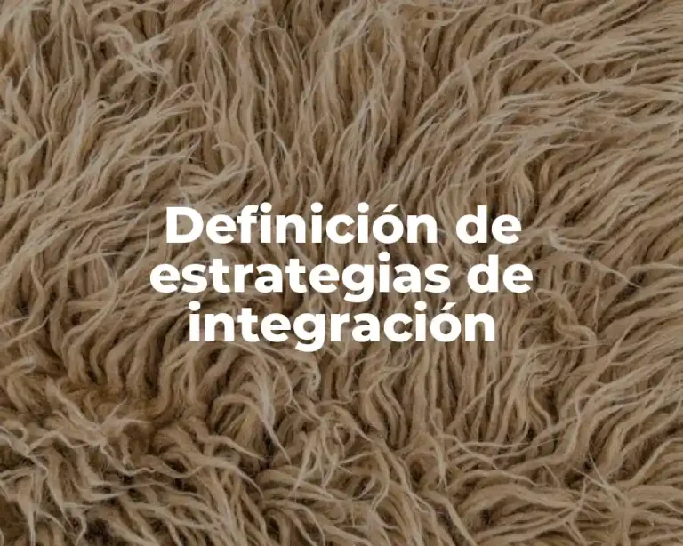 Definición de estrategias de integración