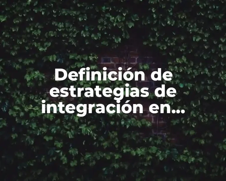 Definición de estrategias de integración en educación
