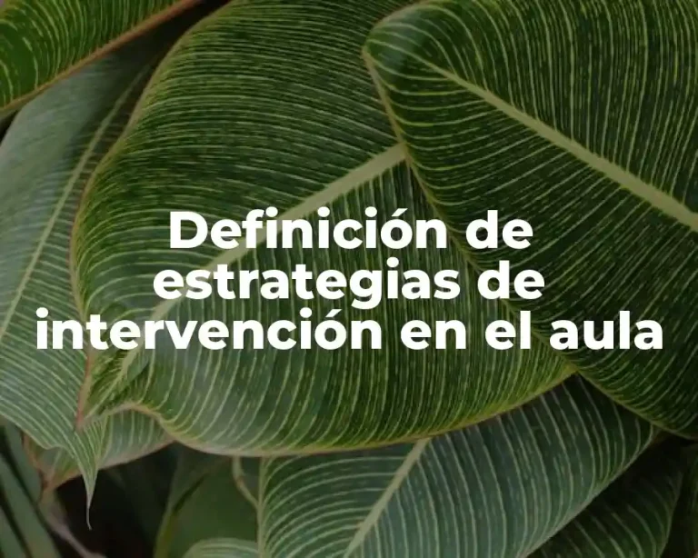 Definición de estrategias de intervención en el aula