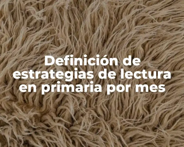 Definición de estrategias de lectura en primaria por mes